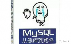 某知名大厂遭离职员工报复，直接删除400多台个虚拟机-下雪啦资源网