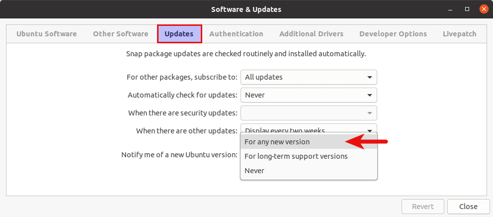 图片[4]-将Ubuntu 20.04升级到Ubuntu 20.10的2种方法（GUI和终端）-下雪啦资源网
