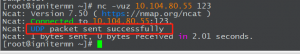 使用nc测试UDP是否正常-下雪啦资源网