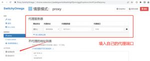 图片[6]-谷歌浏览器安装SwitchyOmega-下雪啦资源网