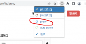 图片[7]-谷歌浏览器安装SwitchyOmega-下雪啦资源网