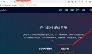 Windows搭建私人影音媒体平台-下雪啦资源网