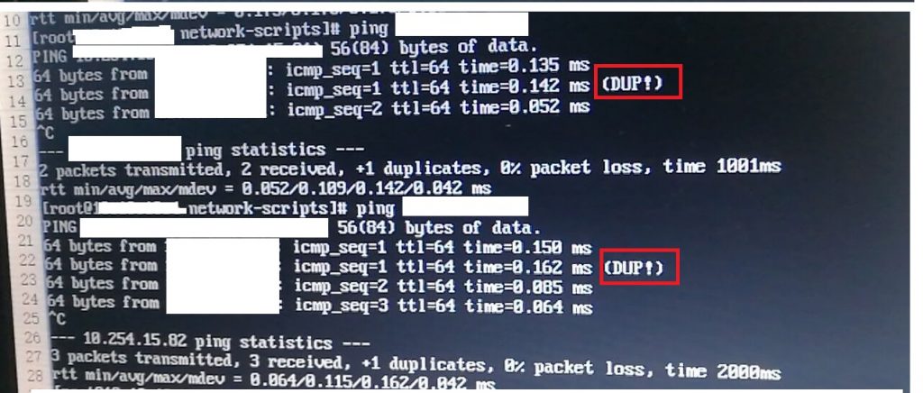 ping出现dup问题-下雪啦资源网