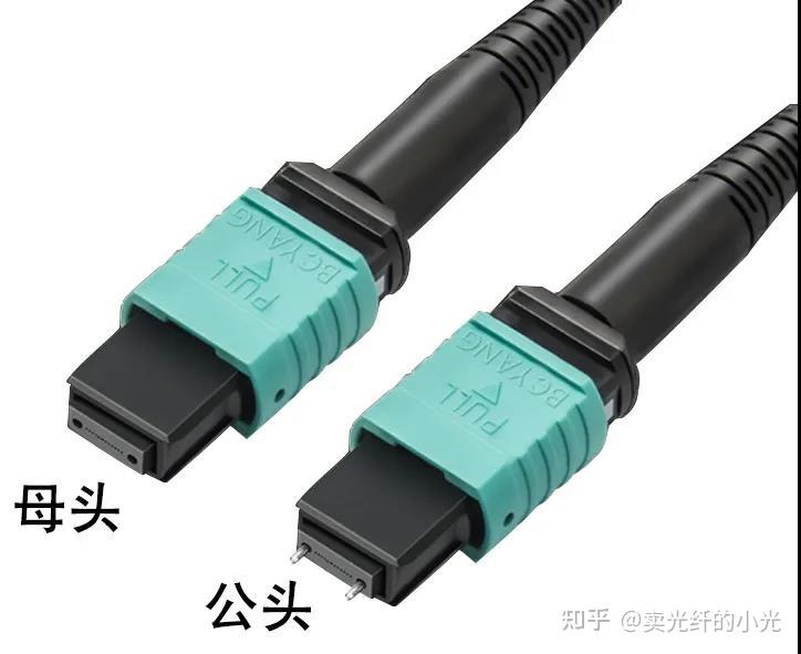 图片[3]-关于MPO光纤跳线你了解多少？-下雪啦资源网