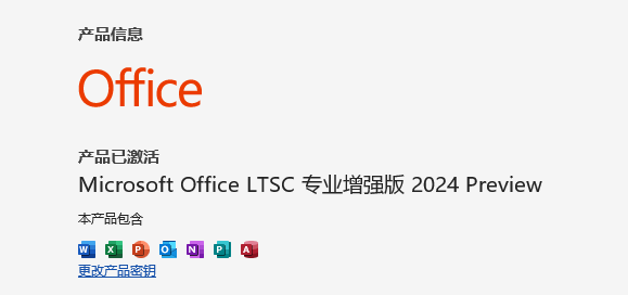 图片[8]-Office LTSC 2024专业增强版-下雪啦资源网