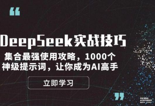 DeepSeek实战技巧：集合最强使用攻略，1000个神级提示词，让你成为AI高手-下雪啦资源网