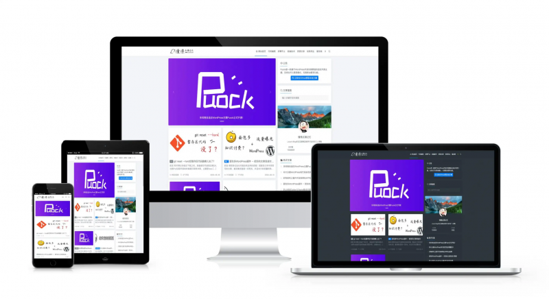 Puock基于WordPress开发的高颜值的自适应主题 支持白天与黑夜模式v2.8.4-下雪啦资源网