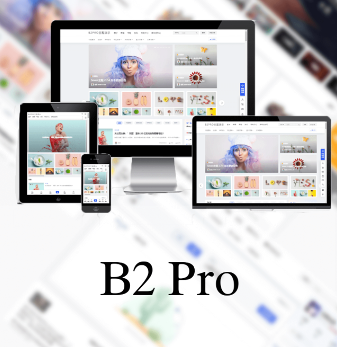 7B2 PRO主题5.4.2免授权直接安装-下雪啦资源网