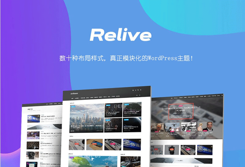 WordPress主题 Relive 3.1自媒体博客主题模板-下雪啦资源网