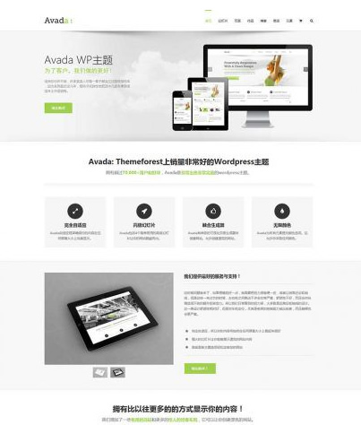 Avada多功能企业主题去授权无限制版本（更新V5.8.2）WordPress主题模板-下雪啦资源网