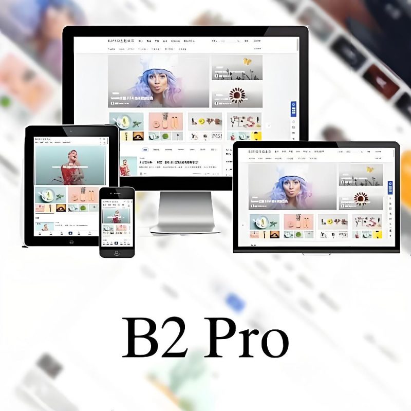 WordPress B2 Pro 主题5.2.0最新版本，欢乐版，包含官方包体和授权文件-下雪啦资源网