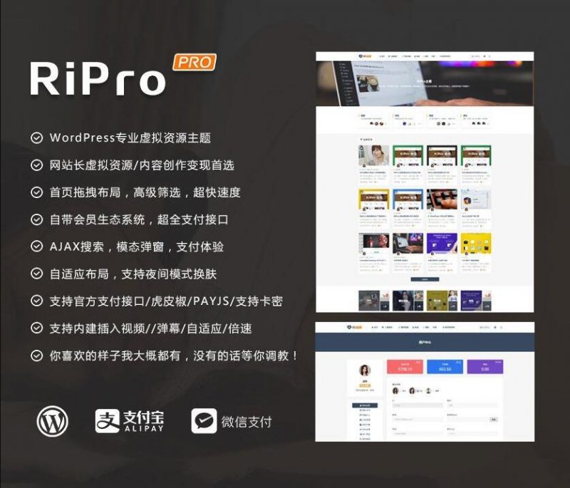 WordPress主题RiPro v8.6 无限制版-下雪啦资源网