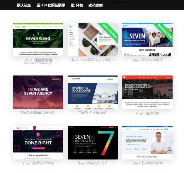 WordPress主题The7_ v9.40可视化建站最新汉化版带秘钥-下雪啦资源网