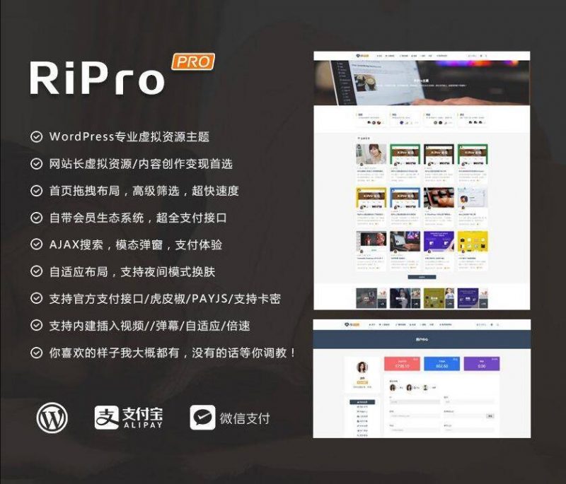 ripro8.7日主题破解版 WordPress主题-下雪啦资源网