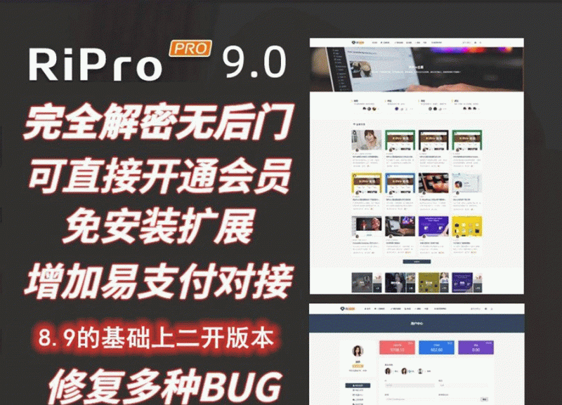 Ripro9.0免扩展二开版/WordPress博客主题Ripro全解密无后门-下雪啦资源网