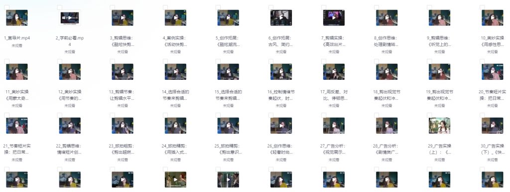 剪辑师实战课程 创作思维培养就业办 强烈推荐-下雪啦资源网