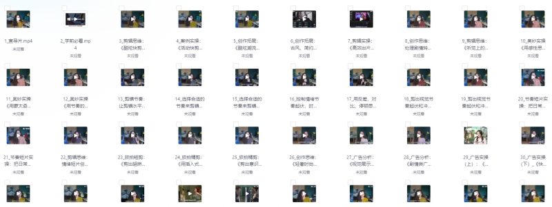 剪辑师实战课程 创作思维培养就业办 强烈推荐-下雪啦资源网