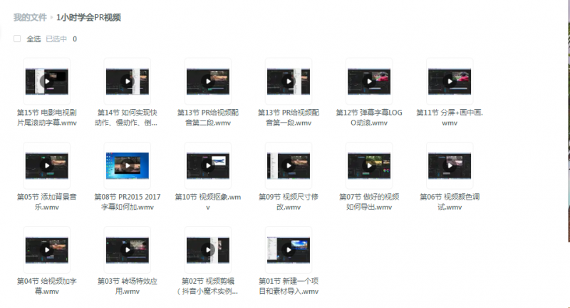 想学PR的有福了，一小时学会PR剪视频-下雪啦资源网