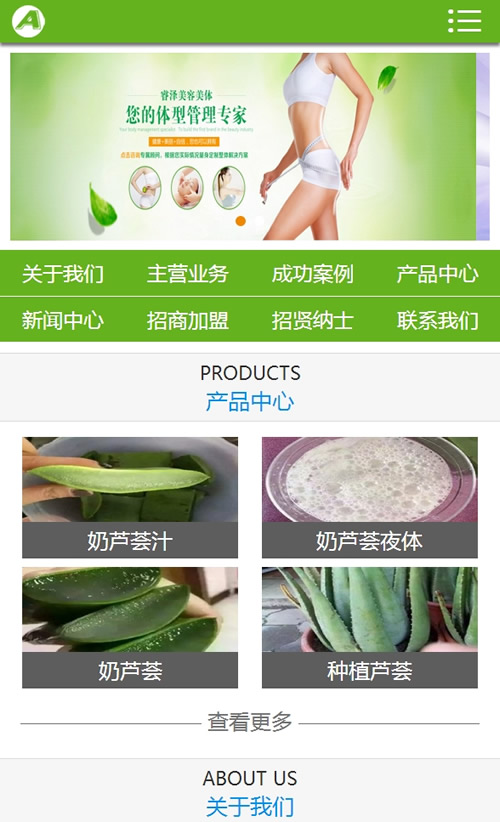 图片[3]-(带手机版数据同步)绿色减肥美体网站源码 健美瑜伽美容馆网站织梦模板-下雪啦资源网