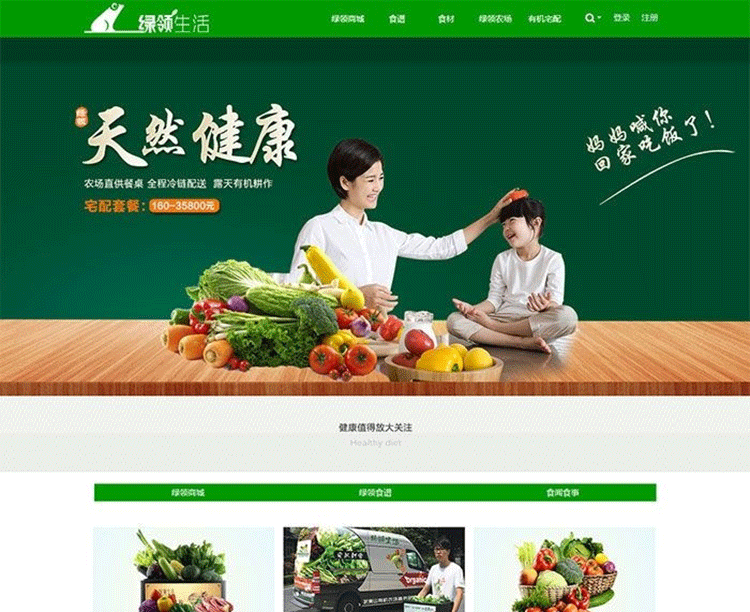 价值400元的 绿色清新discuz企业网站模板-下雪啦资源网