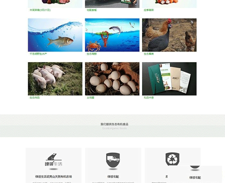 图片[2]-价值400元的 绿色清新discuz企业网站模板-下雪啦资源网