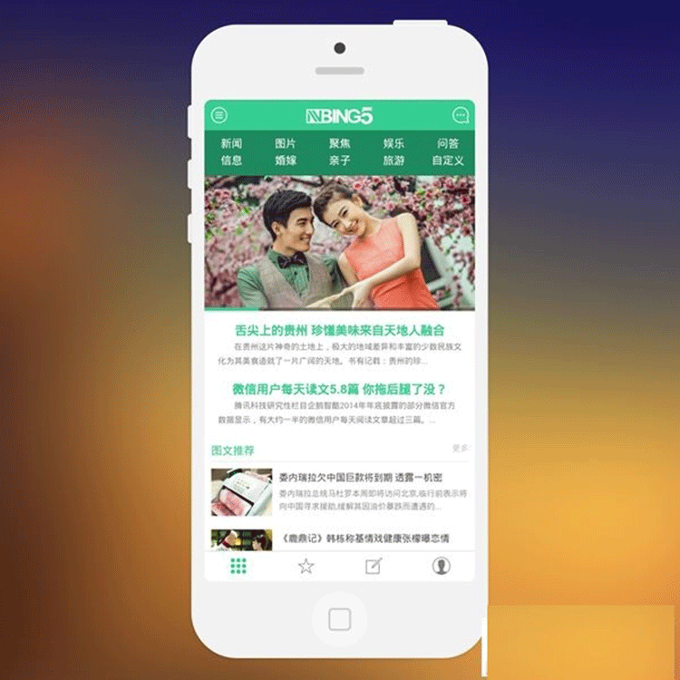 价值298元的N5手机门户网站模板 商业版百变百搭 含gbk和utf8-下雪啦资源网