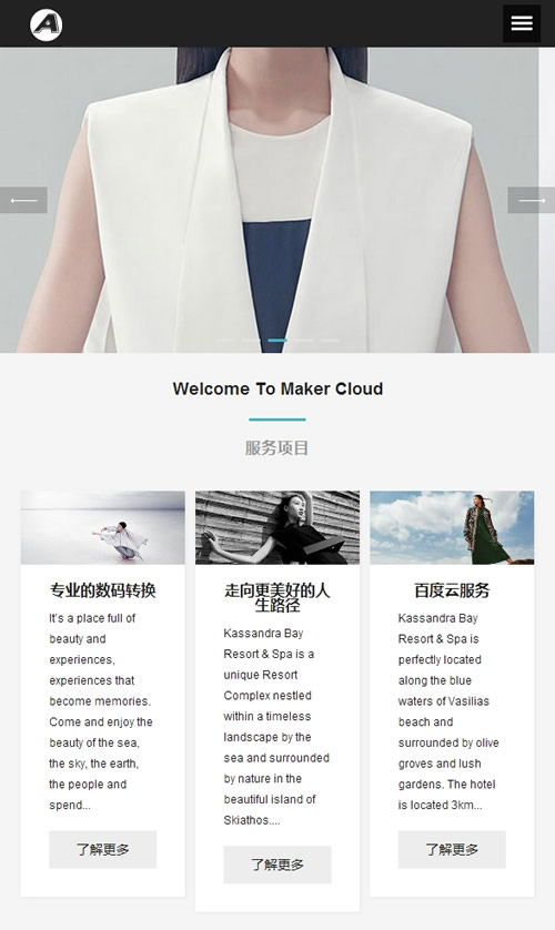 图片[3]-（自适应手机版）响应式服装广告设计类网站源码 摄影写真模特艺术展示类织梦模板-下雪啦资源网
