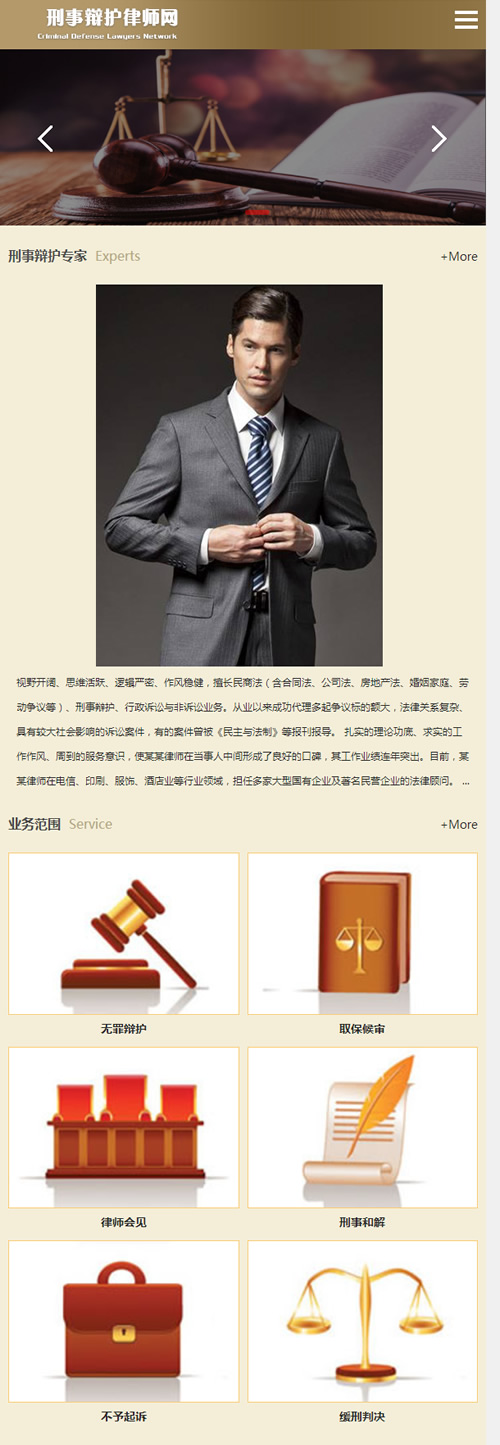 图片[3]-（自适应手机版）响应式刑事辩护律师资讯网站源码 律师事务所网站织梦模板-下雪啦资源网