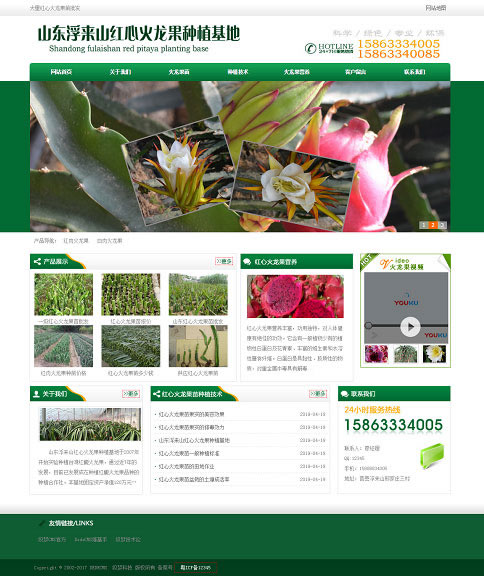 绿色火龙果苗批发火龙果种植基地网站源码 织梦dedecms模板-下雪啦资源网