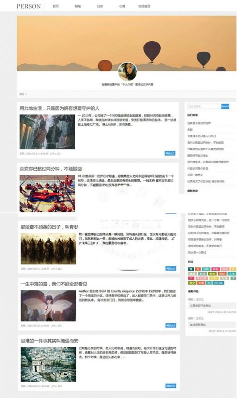 (带手机移动端)简洁PERSON个人博客新闻资讯网站源码 织梦dedecms模板-下雪啦资源网