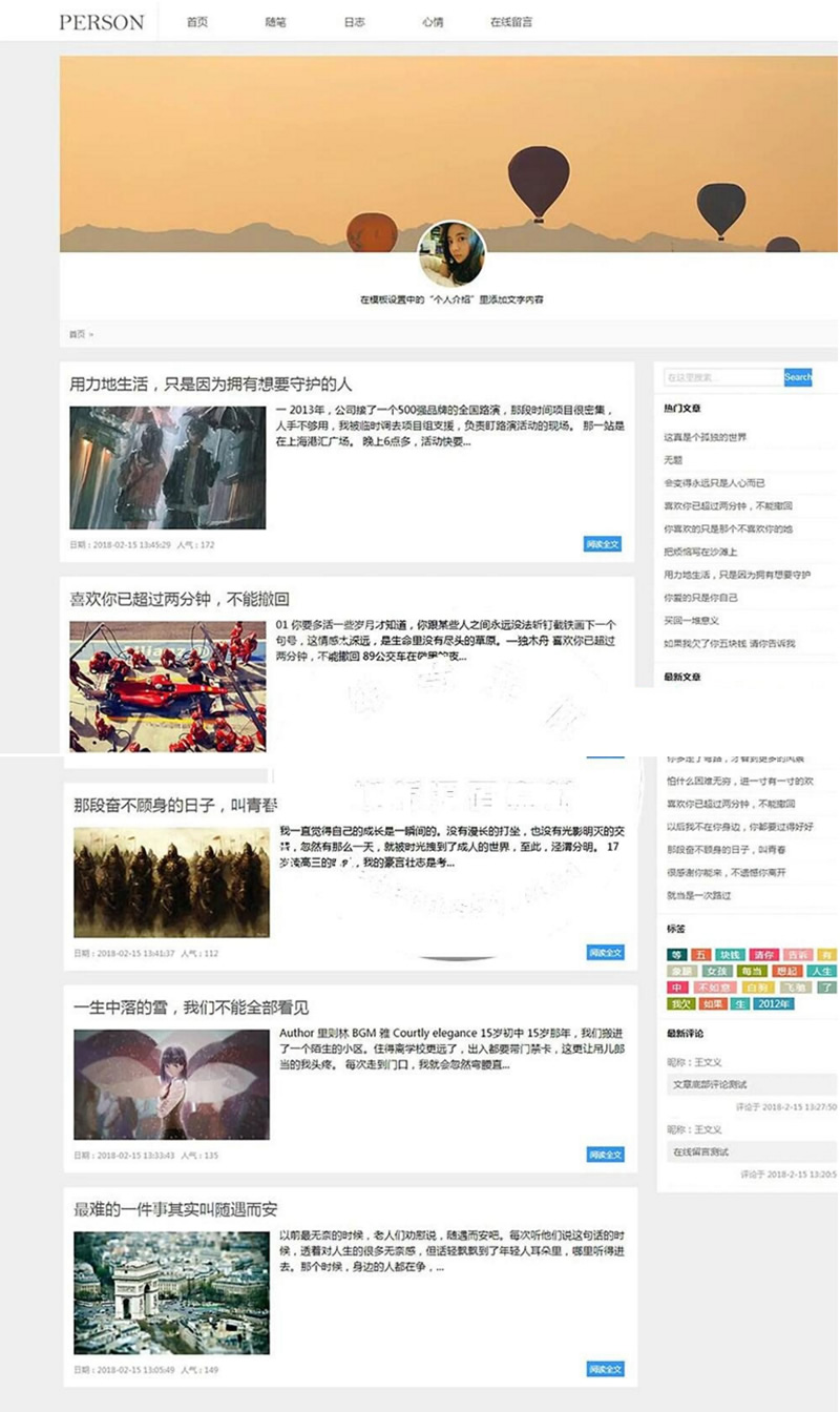 (带手机移动端)简洁PERSON个人博客新闻资讯网站源码 织梦dedecms模板-下雪啦资源网