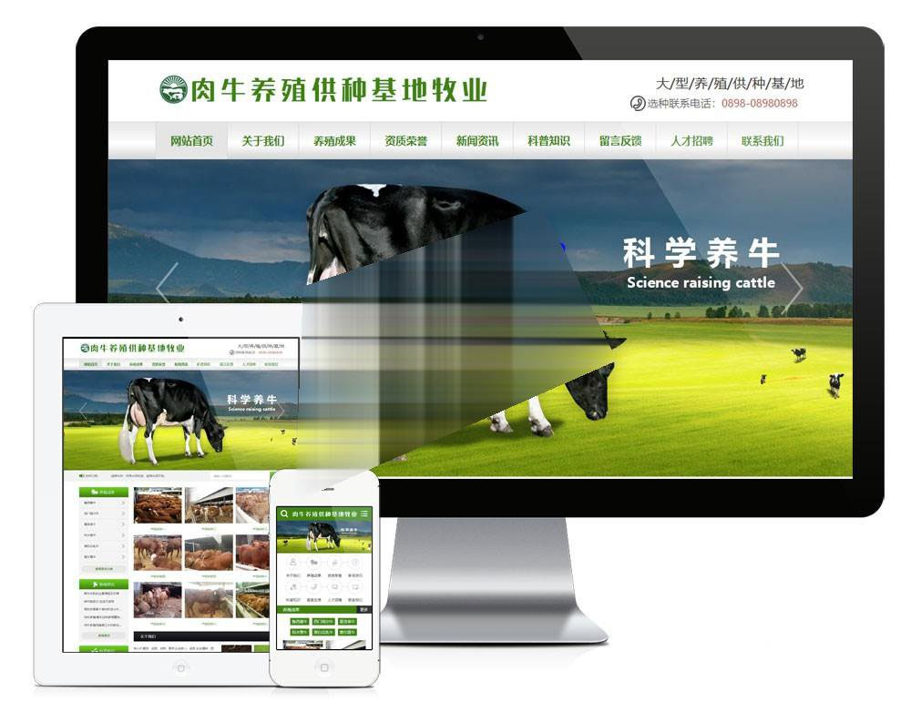 易优cms肉牛养殖供种基地牧业公司网站模板源码 带手机端-下雪啦资源网