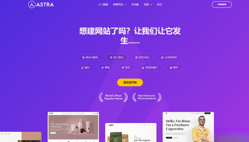 Astra独立站全套主题整理 带pro版插件-下雪啦资源网