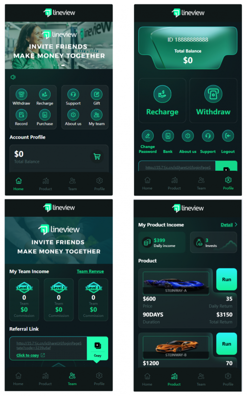 lineview海外汽车投资理财源码/前端html+后端PHP-下雪啦资源网